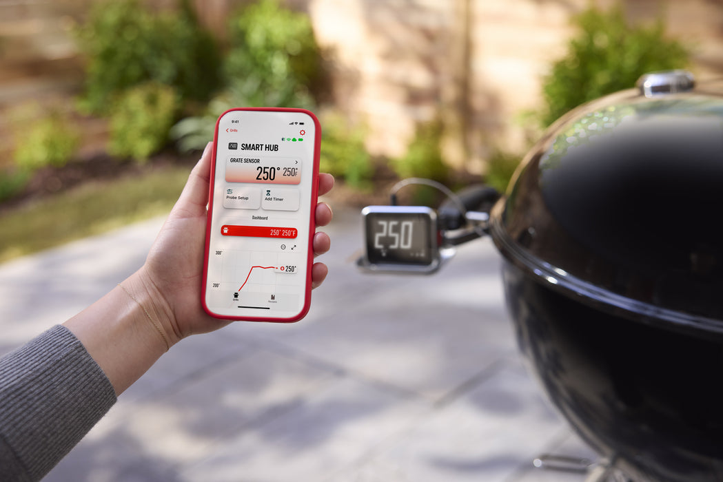 Weber - Écran et amplificateur Smart Hub