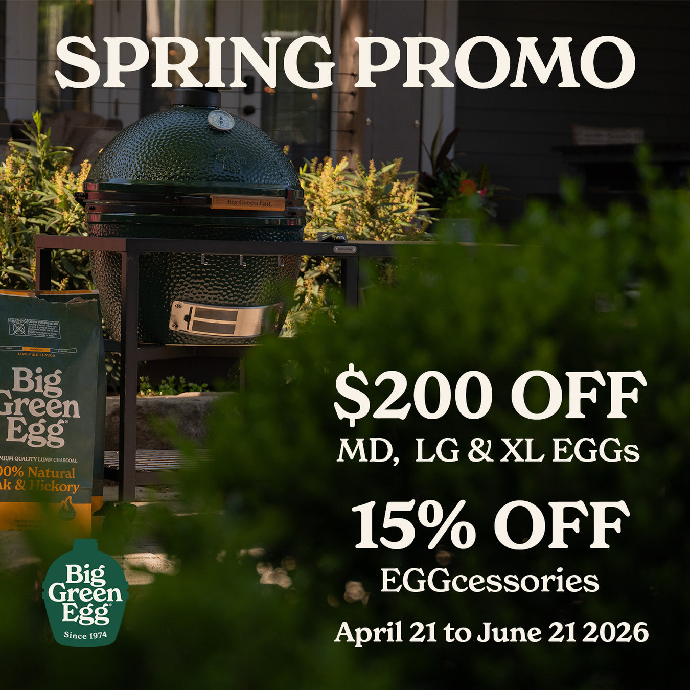 Big Green Egg